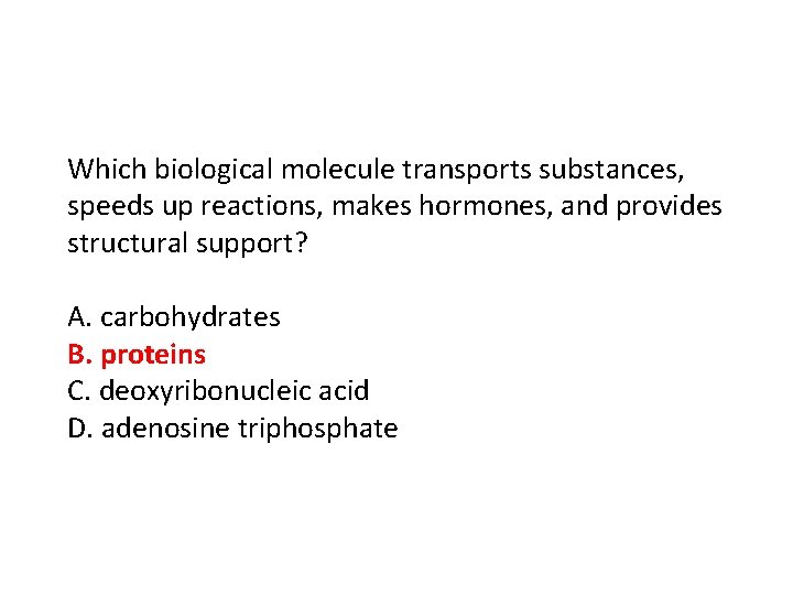 Which biological molecule transports substances, speeds up reactions, makes hormones, and provides structural support?