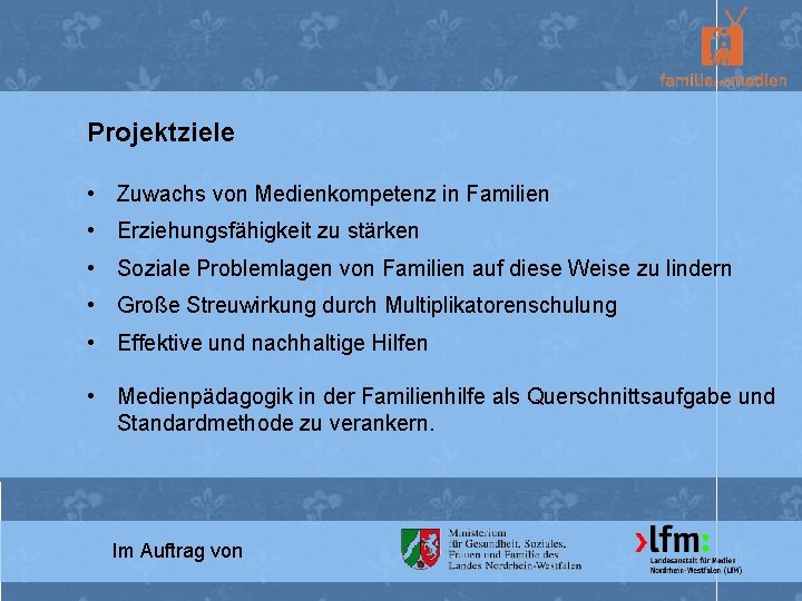 Projektziele • Zuwachs von Medienkompetenz in Familien • Erziehungsfähigkeit zu stärken • Soziale Problemlagen