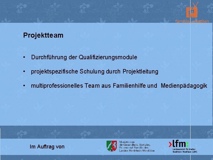 Projektteam • Durchführung der Qualifizierungsmodule • projektspezifische Schulung durch Projektleitung • multiprofessionelles Team aus