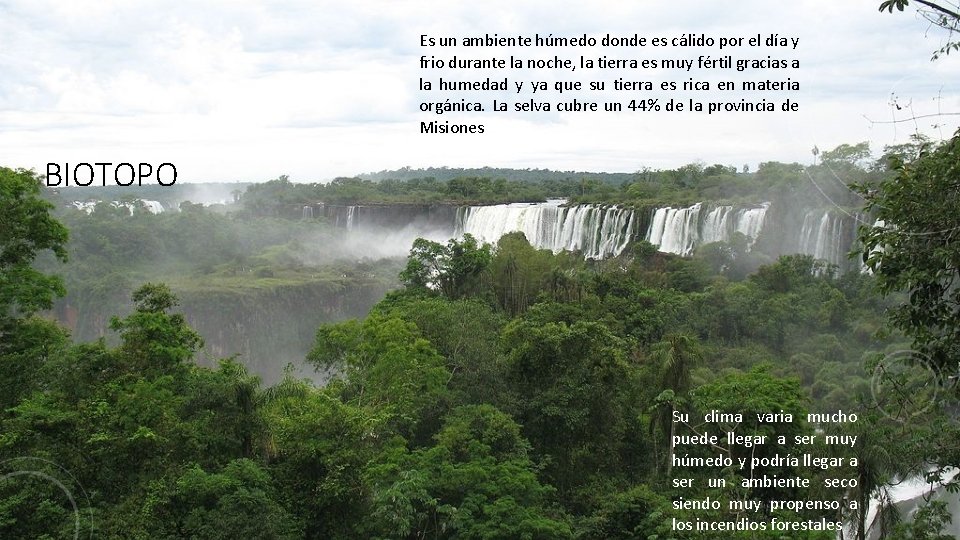 Es un ambiente húmedo donde es cálido por el día y frio durante la