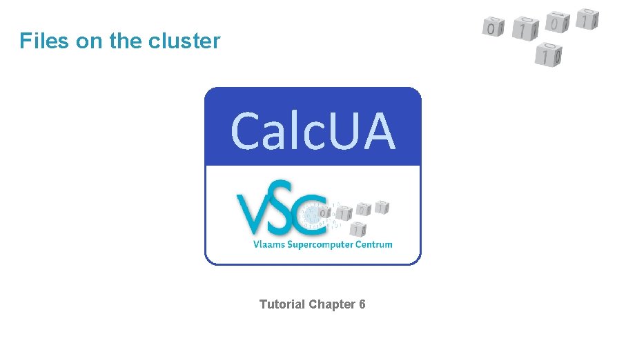 Files on the cluster Calc. UA Tutorial Chapter 6 