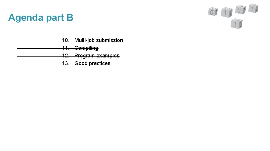 Agenda part B 10. 11. 12. 13. Multi-job submission Compiling Program examples Good practices