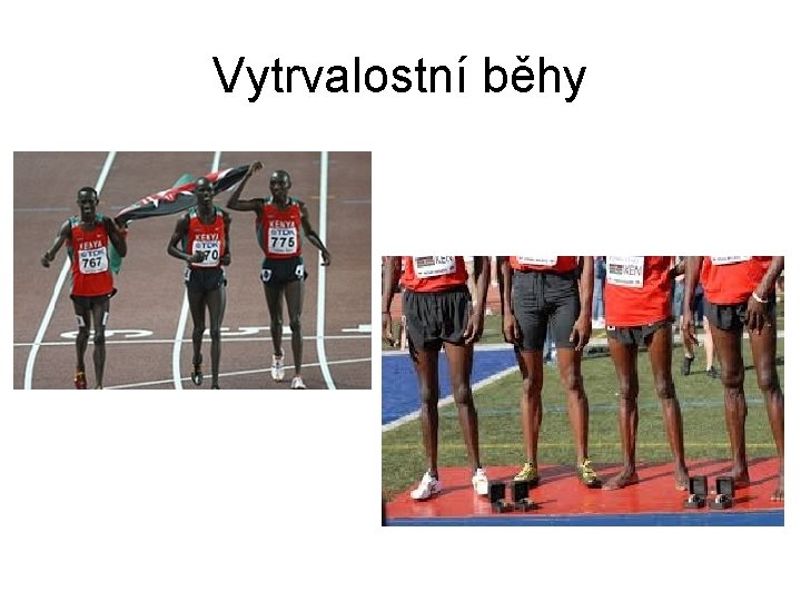 Vytrvalostní běhy 