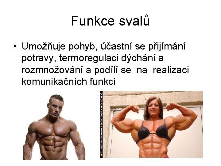 Funkce svalů • Umožňuje pohyb, účastní se přijímání potravy, termoregulaci dýchání a rozmnožování a