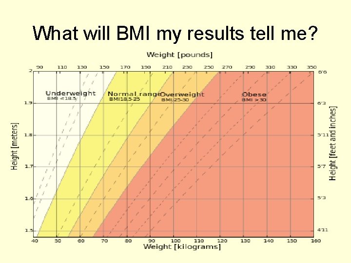 What will BMI my results tell me? 