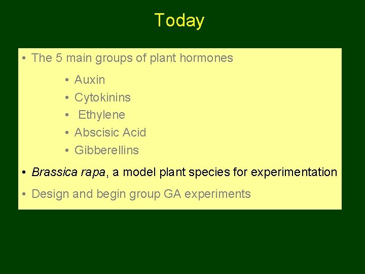 Today • The 5 main groups of plant hormones • • • Auxin Cytokinins