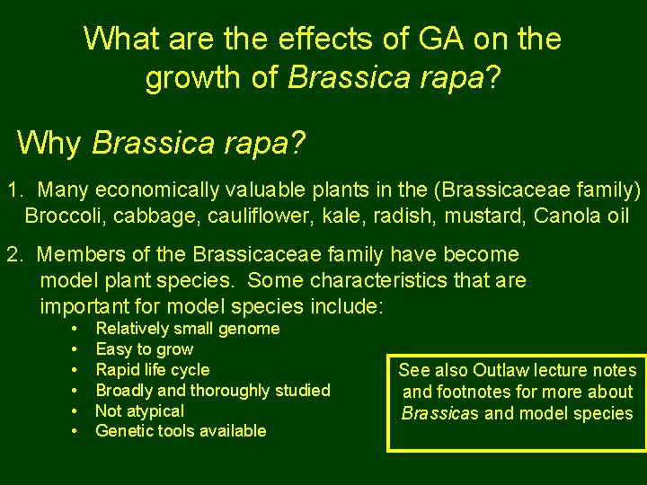 What are the effects of GA on the growth of Brassica rapa? Why Brassica