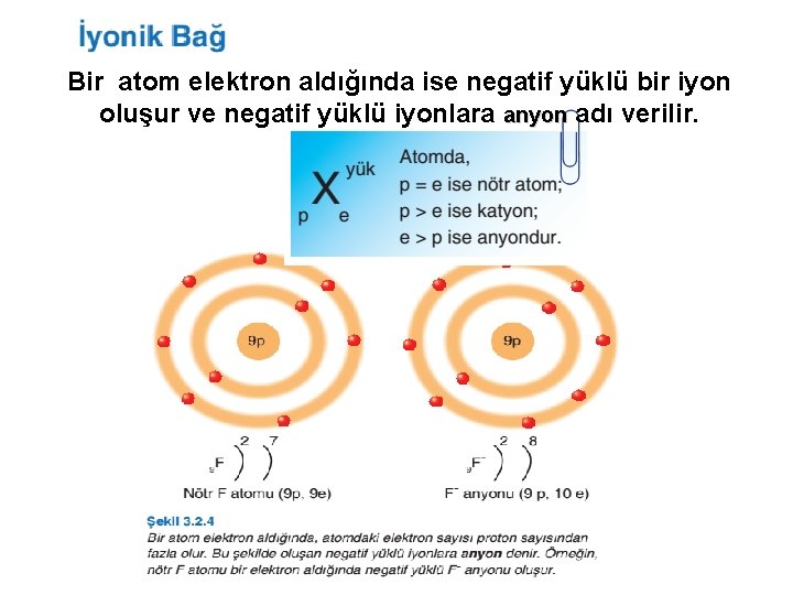 Bir atom elektron aldığında ise negatif yüklü bir iyon oluşur ve negatif yüklü iyonlara