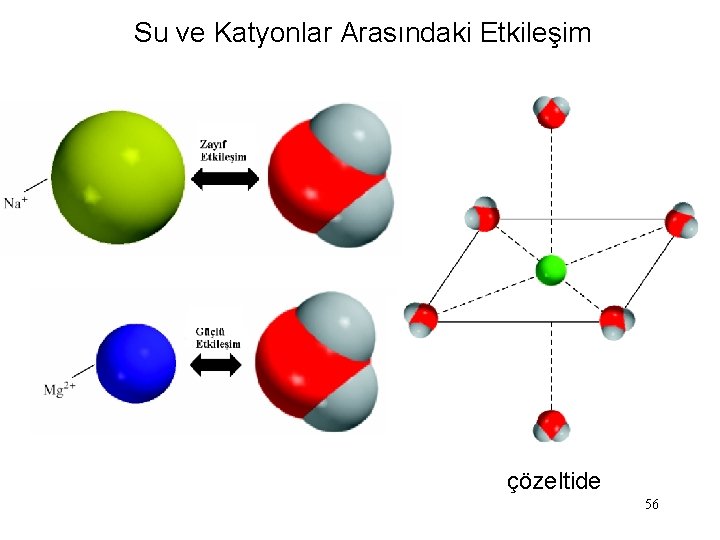 Su ve Katyonlar Arasındaki Etkileşim çözeltide 56 