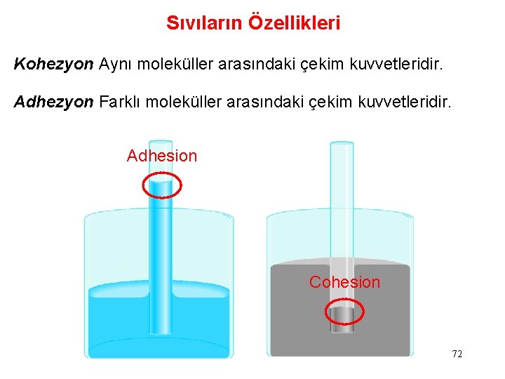 Sıvıların Özellikleri Kohezyon Aynı moleküller arasındaki çekim kuvvetleridir. Adhezyon Farklı moleküller arasındaki çekim kuvvetleridir.