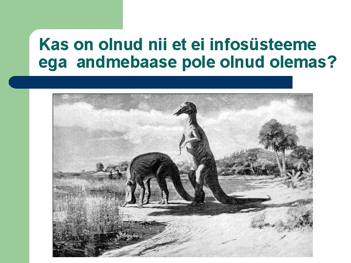 Kas on olnud nii et ei infosüsteeme ega andmebaase pole olnud olemas? On, ja