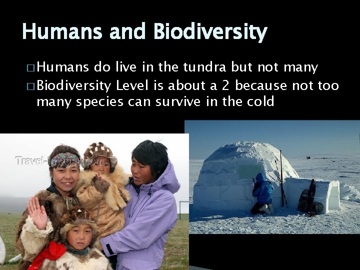 Humans and Biodiversity � Humans do live in the tundra but not many �