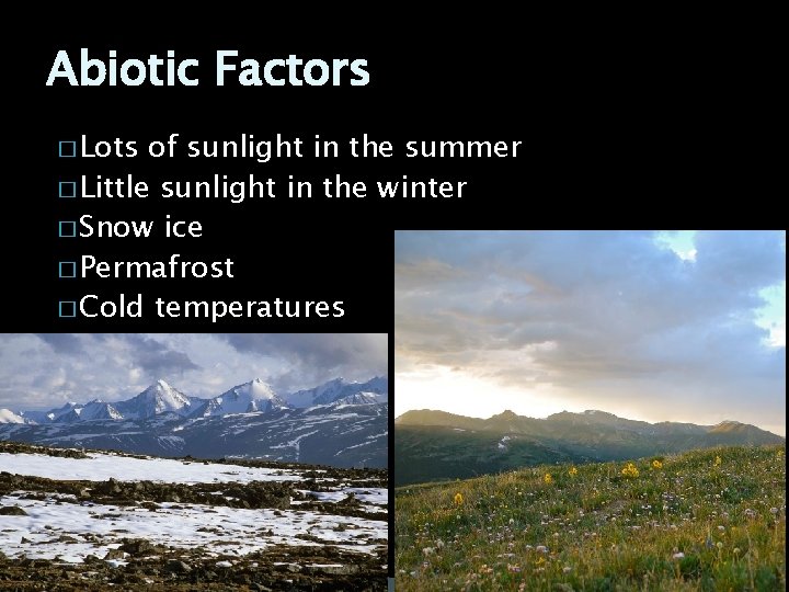 Abiotic Factors � Lots of sunlight in the summer � Little sunlight in the