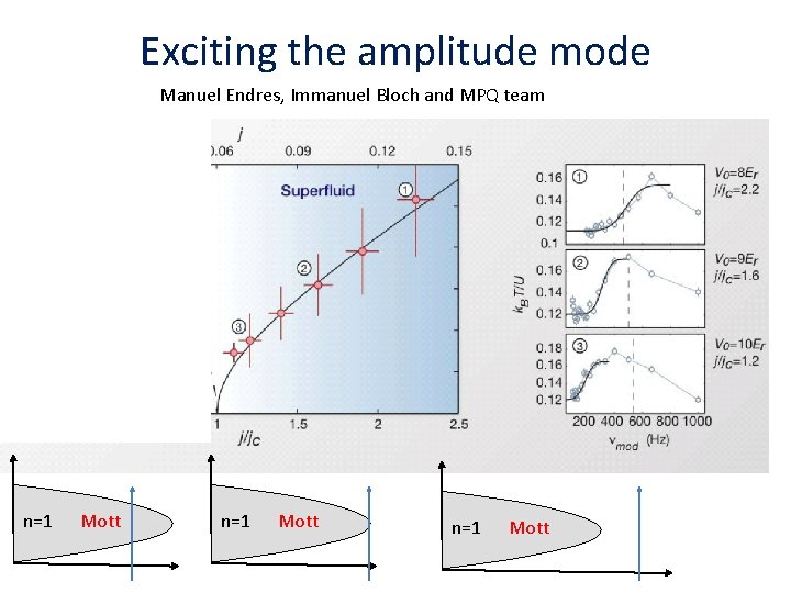 Exciting the amplitude mode Manuel Endres, Immanuel Bloch and MPQ team n=1 Mott 