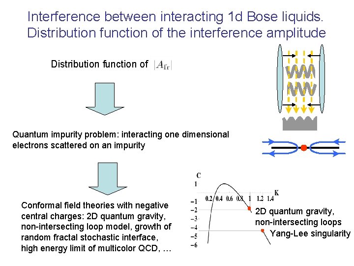 Interference between interacting 1 d Bose liquids. Distribution function of the interference amplitude Distribution