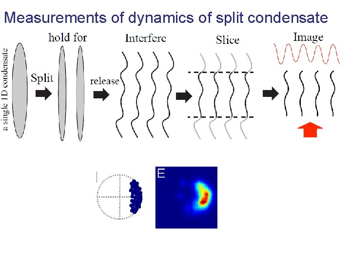 Measurements of dynamics of split condensate 