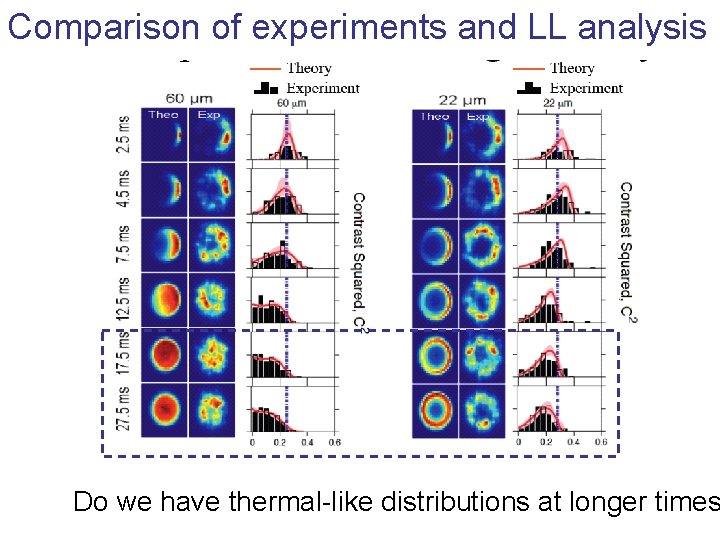 Comparison of experiments and LL analysis Do we have thermal-like distributions at longer times