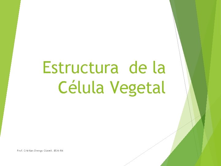 Estructura de la Célula Vegetal Prof. Cristian Orengo Clavell. BSN-RN 