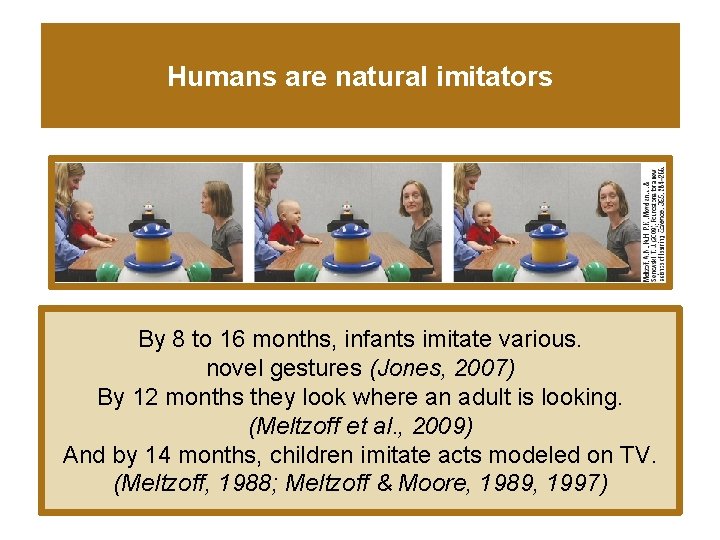 Humans are natural imitators By 8 to 16 months, infants imitate various. novel gestures