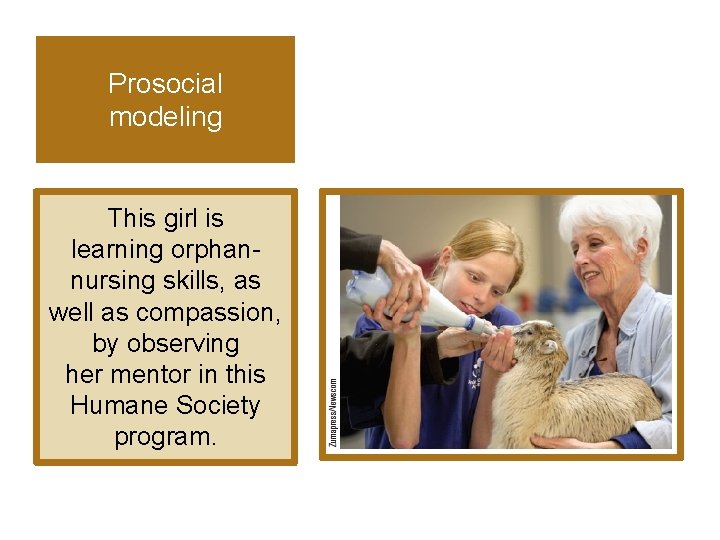Prosocial modeling This girl is learning orphannursing skills, as well as compassion, by observing