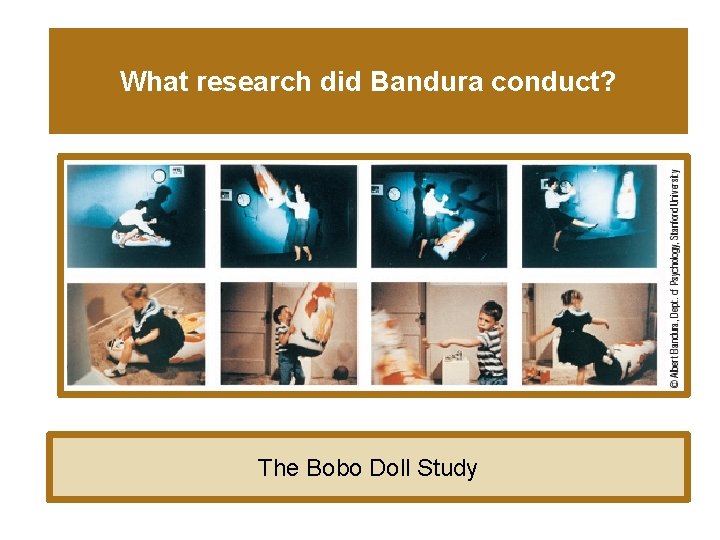 What research did Bandura conduct? The Bobo Doll Study 
