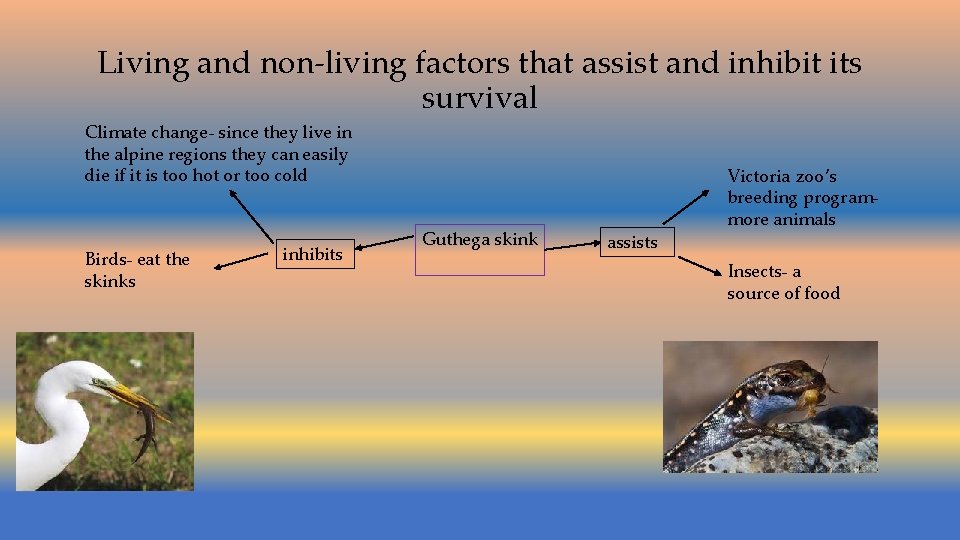 Living and non-living factors that assist and inhibit its survival Climate change- since they
