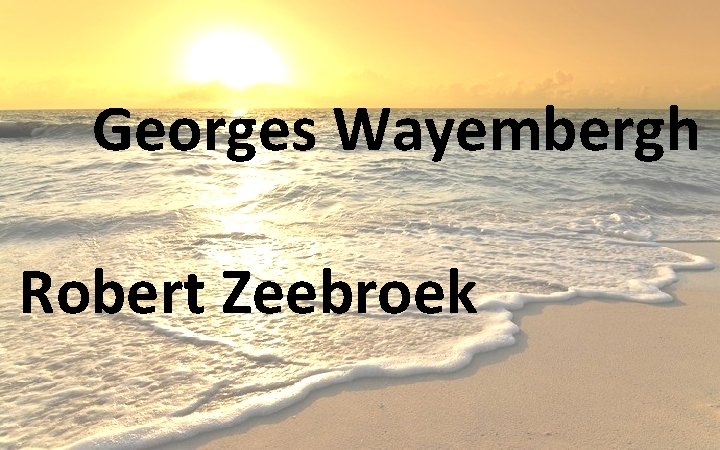 Georges Wayembergh Robert Zeebroek 
