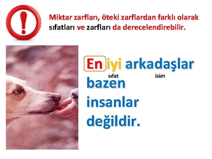 Miktar zarfları, öteki zarflardan farklı olarak sıfatları ve zarfları da derecelendirebilir. En iyi arkadaşlar