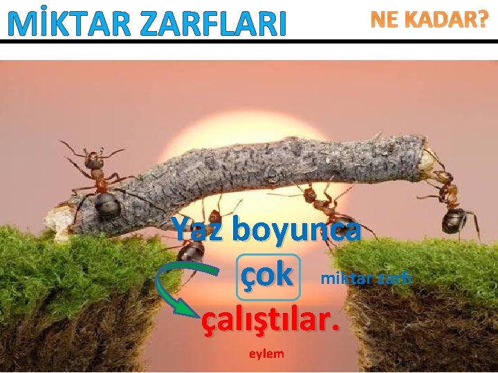 MİKTAR ZARFLARI NE KADAR? Yaz boyunca çok miktar zarfı çalıştılar. eylem 