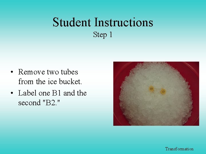 Student Instructions Step 1 • Remove two tubes from the ice bucket. • Label
