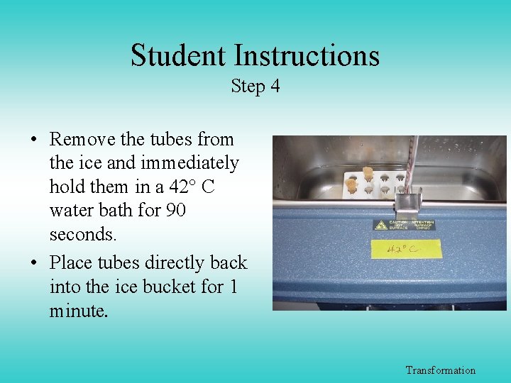 Student Instructions Step 4 • Remove the tubes from the ice and immediately hold