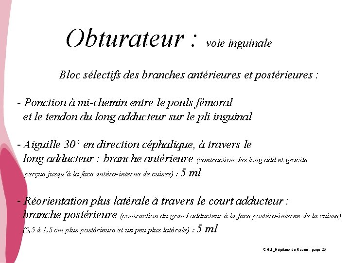 Obturateur : voie inguinale Bloc sélectifs des branches antérieures et postérieures : - Ponction