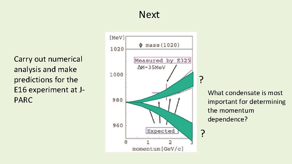 Next Carry out numerical analysis and make predictions for the E 16 experiment at