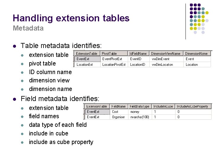 Handling extension tables Metadata l Table metadata identifies: l l l extension table pivot