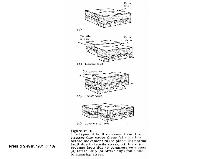 Press & Siever, 1984, p. 402 