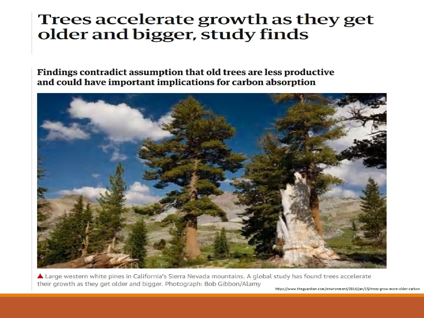 https: //www. theguardian. com/environment/2014/jan/15/trees-grow-more-older-carbon 