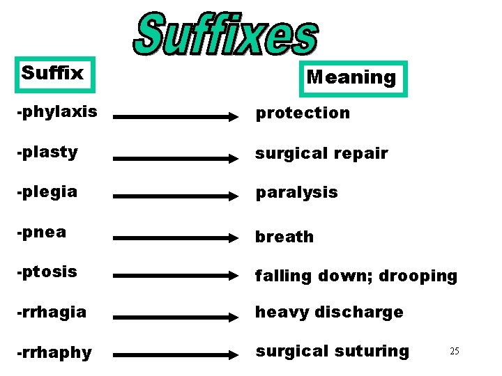 Suffixes (phylaxis-rrhaphy) Meaning -phylaxis protection -plasty surgical repair -plegia paralysis -pnea breath -ptosis falling
