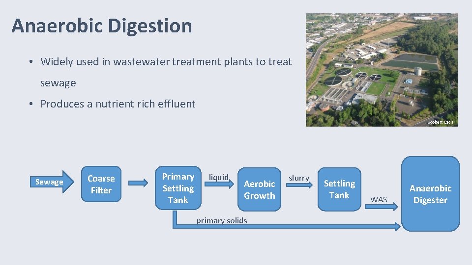 Anaerobic Digestion • Widely used in wastewater treatment plants to treat sewage • Produces