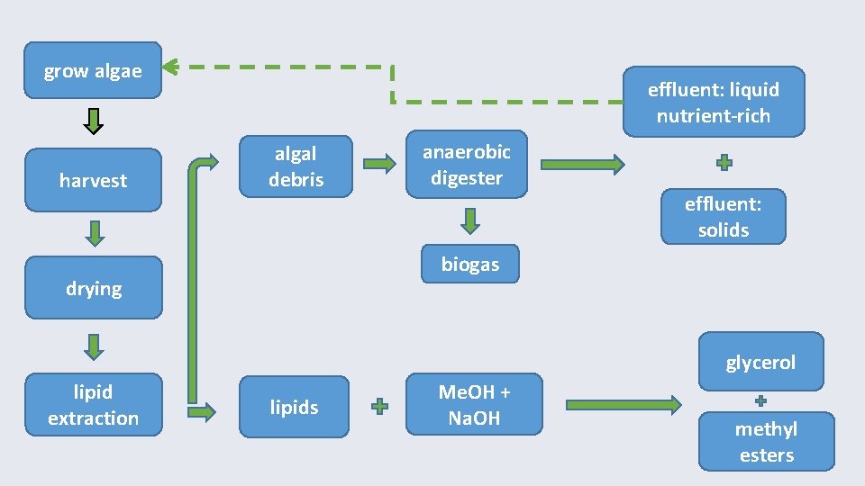 grow algae harvest effluent: liquid nutrient-rich algal debris anaerobic digester effluent: solids biogas drying