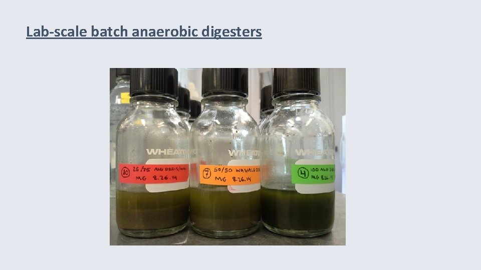 Lab-scale batch anaerobic digesters 