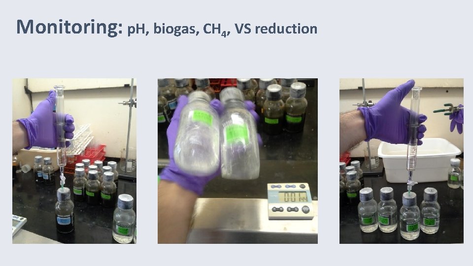 Monitoring: p. H, biogas, CH 4, VS reduction 