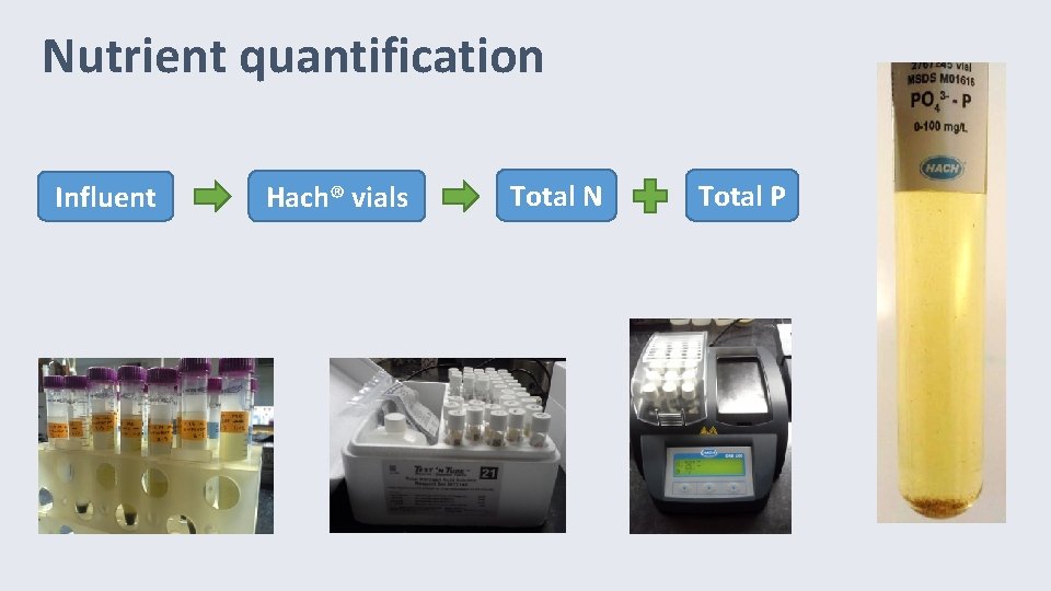 Nutrient quantification Influent Hach® vials Total N Total P 