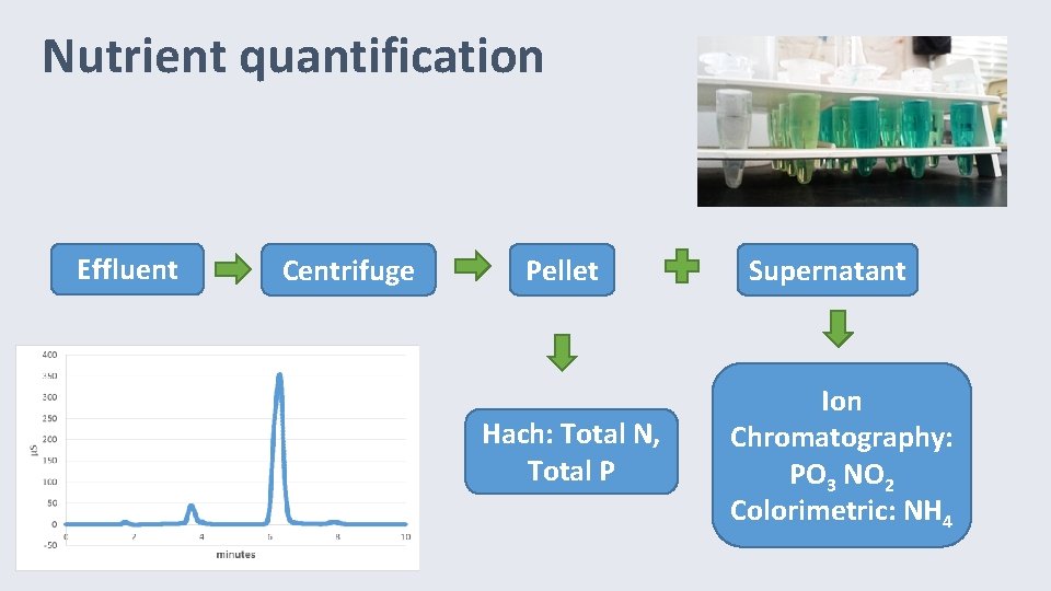 Nutrient quantification Effluent Centrifuge Pellet Hach: Total N, Total P Supernatant Ion Chromatography: PO