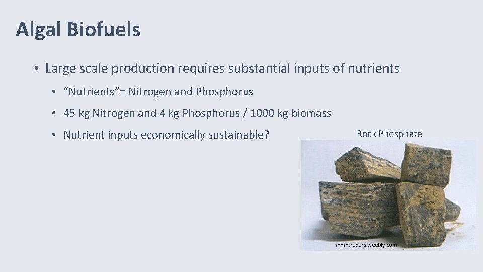 Algal Biofuels • Large scale production requires substantial inputs of nutrients • “Nutrients”= Nitrogen