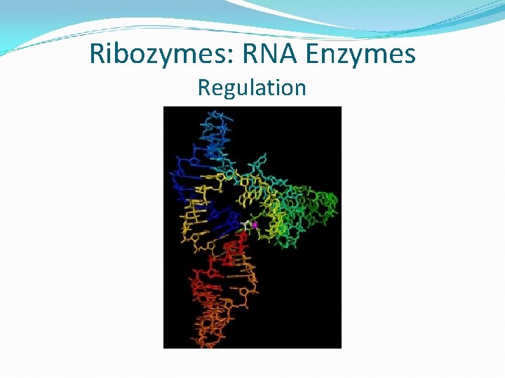 Ribozymes: RNA Enzymes Regulation 