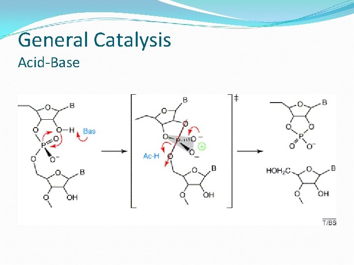 General Catalysis Acid-Base 