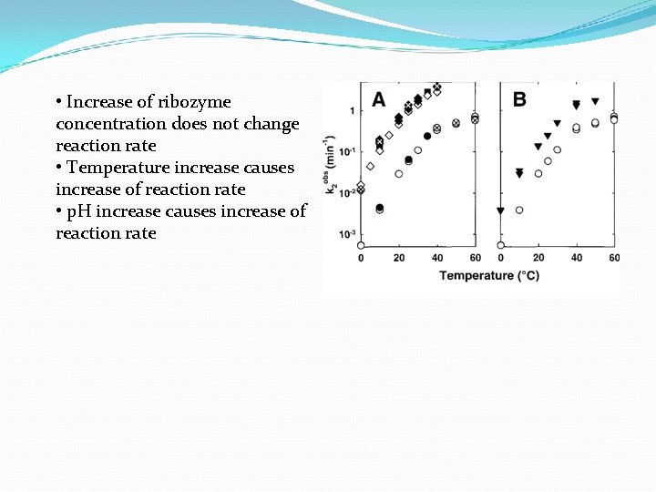  • Increase of ribozyme concentration does not change reaction rate • Temperature increase
