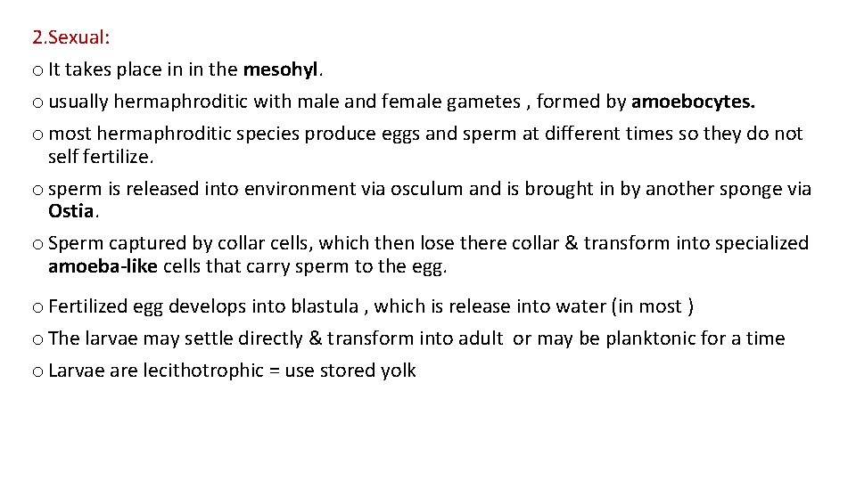 2. Sexual: o It takes place in in the mesohyl. o usually hermaphroditic with
