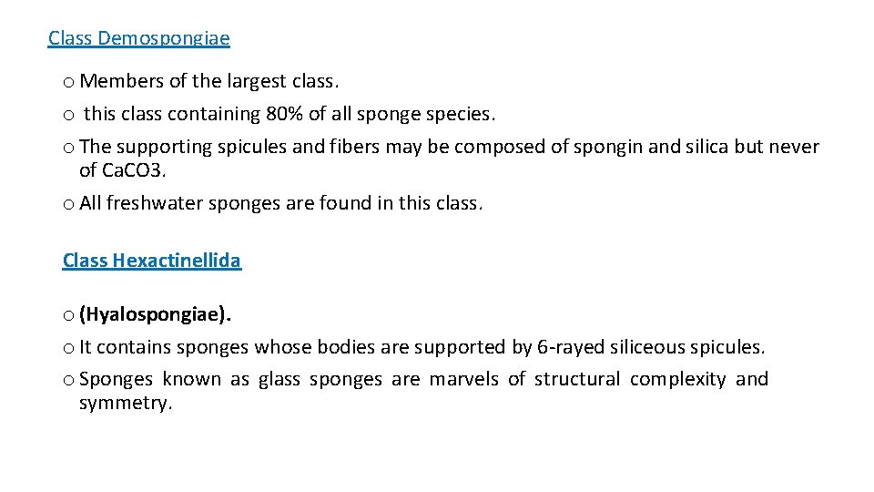 Class Demospongiae o Members of the largest class. o this class containing 80% of