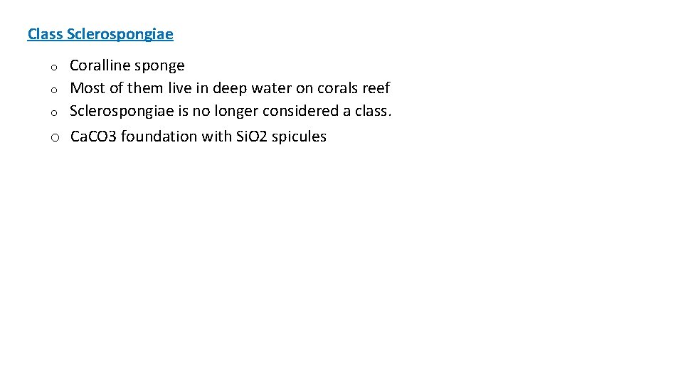 Class Sclerospongiae Coralline sponge o Most of them live in deep water on corals